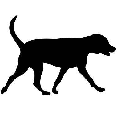 Doberman beyaz arkaplanda siyah bir siluet buldu..