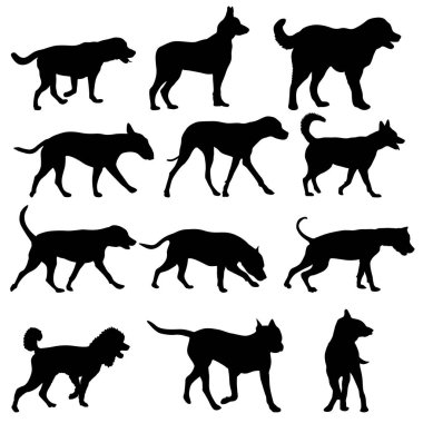 Siluet evcil köpeğini beyaz arkaplana yerleştir.