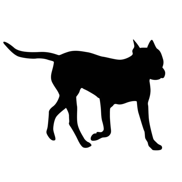 Beyaz Arkaplanda Dunker Köpeği Siyah Silueti — Stok Vektör