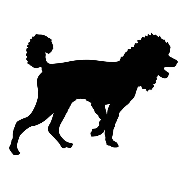 Poodle Perro Silueta Negra Sobre Fondo Blanco — Archivo Imágenes Vectoriales