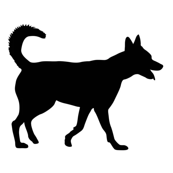 Pasterz Pies Czarny Sylwetka Białym Tle — Wektor stockowy