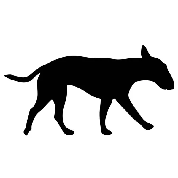 Bullterrier Hund Schwarze Silhouette Auf Weißem Hintergrund — Stockvektor