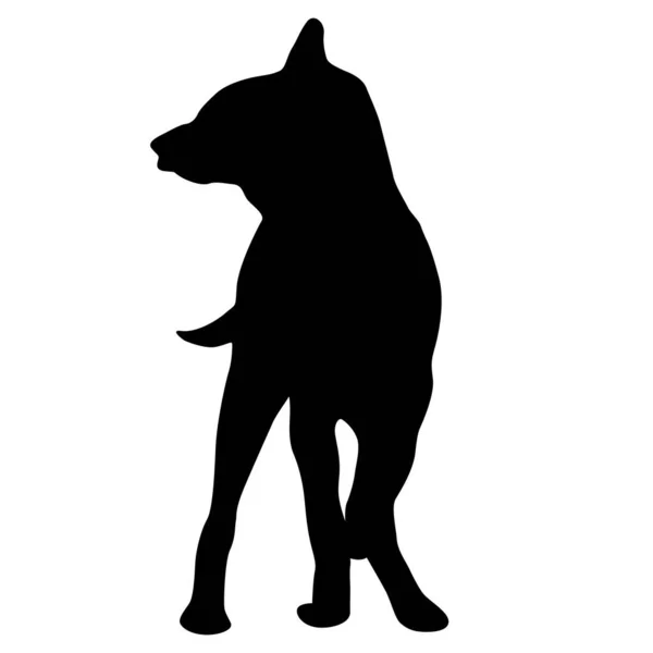 Pastýř Pes Černá Silueta Bílém Pozadí — Stockový vektor