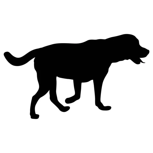 Labrador Hond Zwart Silhouet Witte Achtergrond — Stockvector