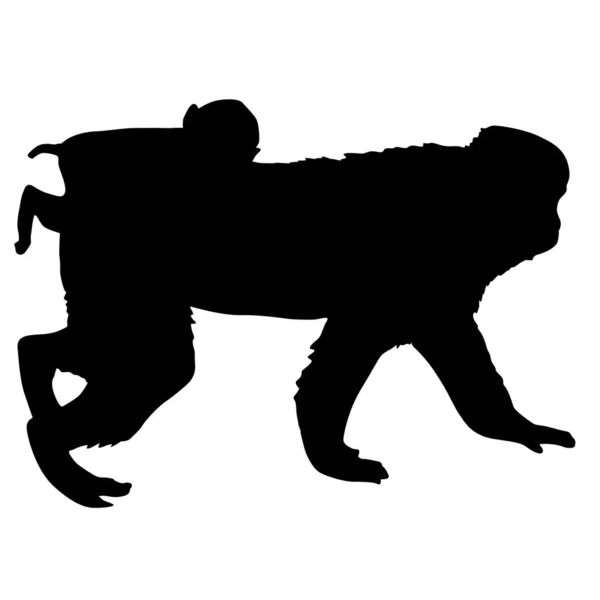 Silueta Del Macaco Japonés Sobre Fondo Blanco — Archivo Imágenes Vectoriales