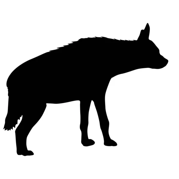Silhouette Hyène Pot Sur Fond Blanc — Image vectorielle