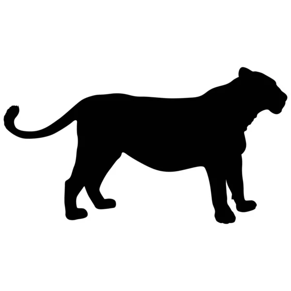 白い背景にライオンのシルエット — ストックベクタ