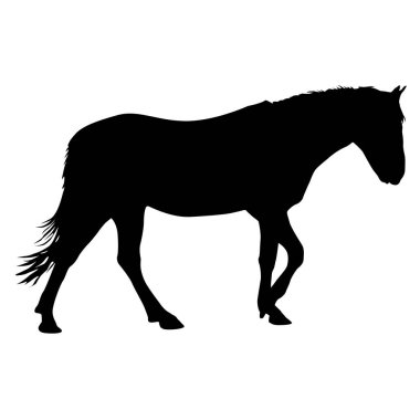 Siyah Mustang at vektör çiziminin silueti