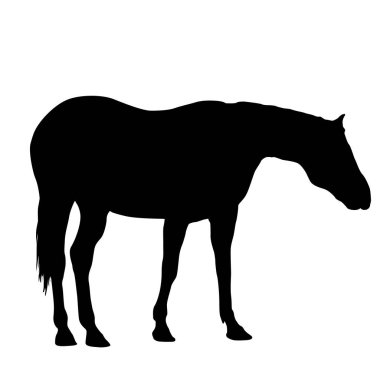 Siyah Mustang at vektör çiziminin silueti