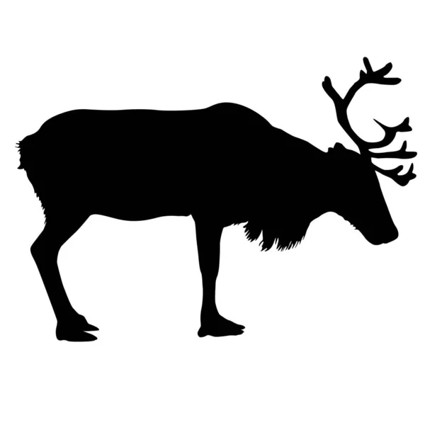 Silhouette Deer Great Antler White Background — Stock Vector
