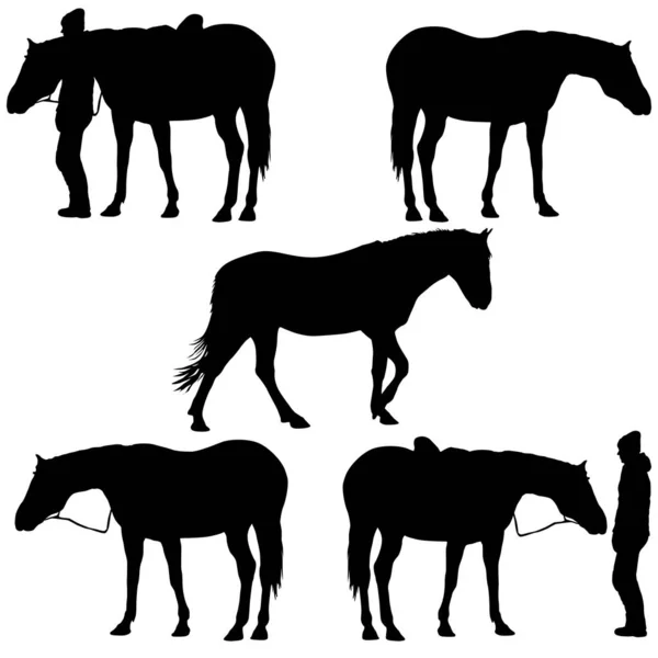 Stel Silhouet Van Zwarte Mustang Paard Vector Illustratie — Stockvector