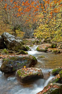 Kırım'da sonbahar Nehri