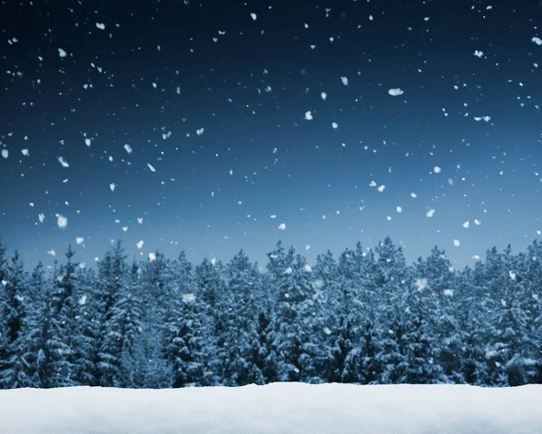 Zimní krajina v noci — Stock fotografie