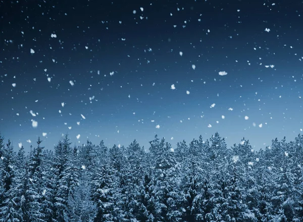 Paysage hivernal la nuit — Photo
