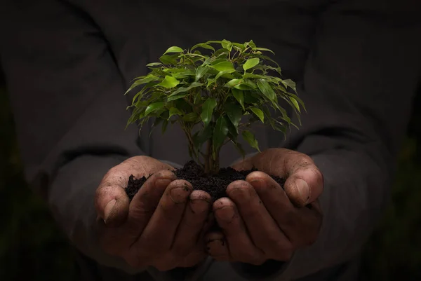 Conceito de conservação do ambiente — Fotografia de Stock