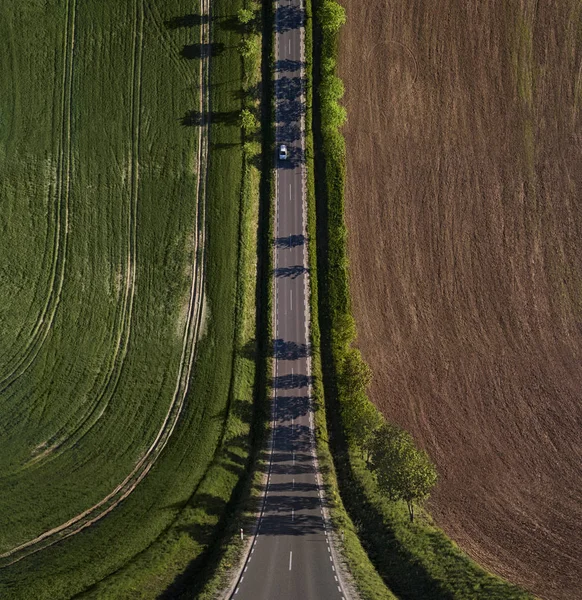 Perspectiva de curva estrada — Fotografia de Stock