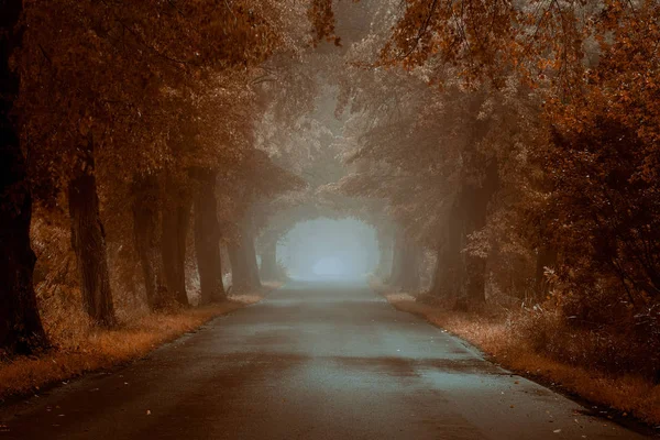 Δρόμος άδειος, ομιχλώδης — Φωτογραφία Αρχείου