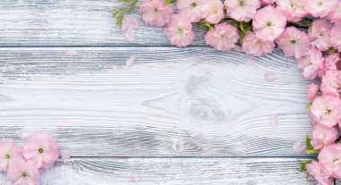 Panoramik bahar arka plan, boş çerçeve kopya alanı ile eski ahşap tahta üzerinde pembe çiçeği 