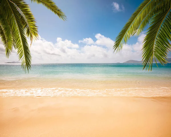 Leerer tropischer Strand — Stockfoto