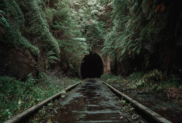 Antiguo Túnel Ferroviario Abandonado Medio Selva Tropical —  Fotos de Stock