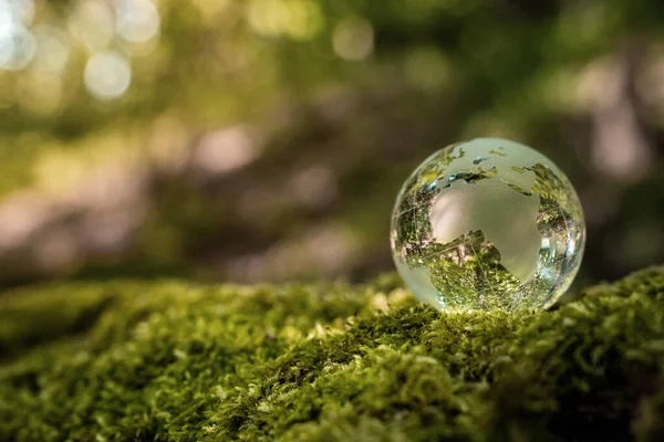 Miljöskyddskoncept Närbild Glasglob Skogen Med Kopieringsutrymme — Stockfoto