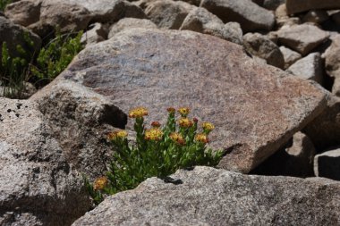 Pamir bölge Rusya Federasyonu Orta Asya dağ manzaraları