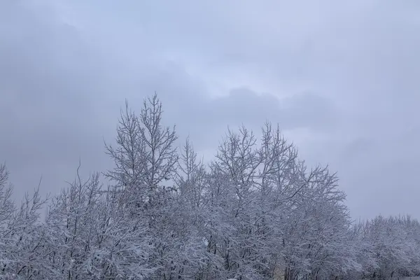 Первая холодная зима в России — стоковое фото