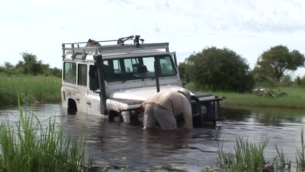 Coche conducción mojado fileld tierra Arfica safari — Vídeo de stock