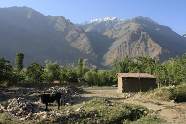 Pamir region Russian Federation Central Asia mountain landscapes — Stock Photo, Image