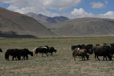 Pamir bölge Rusya Federasyonu Orta Asya dağ manzaraları