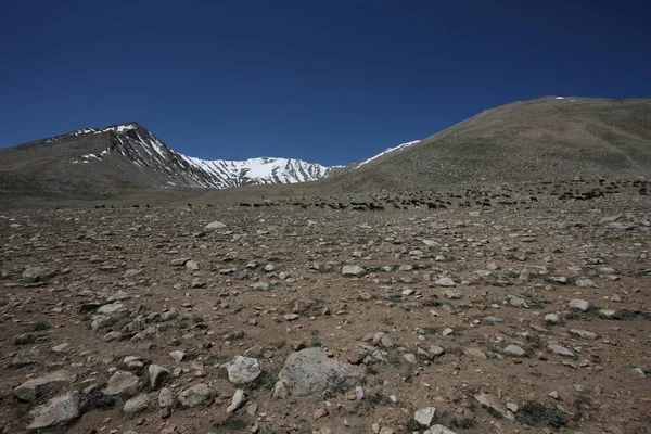 Pamir regionu Ruské federace střední Asie horské krajiny — Stock fotografie