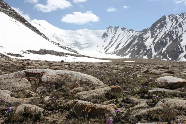 Pamir bölge Rusya Federasyonu Orta Asya dağ manzaraları — Stok fotoğraf