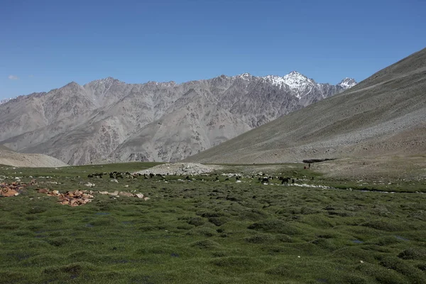 Pamir região Federação Russa Ásia Central paisagens de montanha — Fotografia de Stock