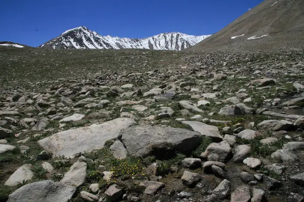 Pamir región Federación Rusa Asia Central paisajes de montaña — Foto de Stock