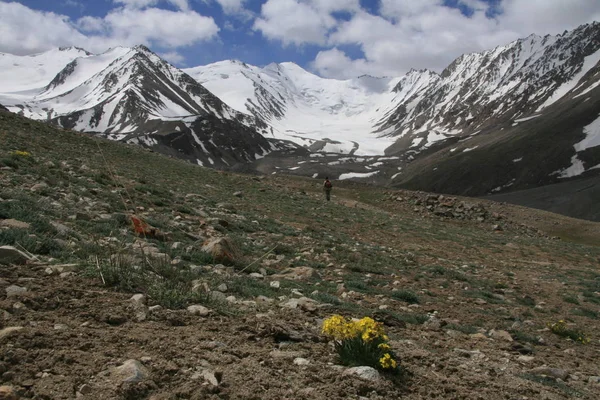 A Pamir régió Orosz Föderáció közép-ázsiai hegyi tájak — Stock Fotó