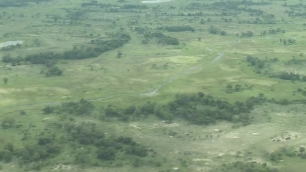 Flugzeug in Kenia Botswana Savanne Afrika — Stockvideo