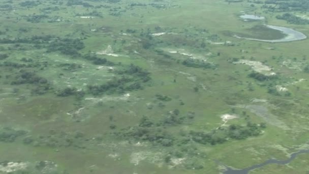 Aereo aereo in Kenya Botswana savana Africa — Video Stock