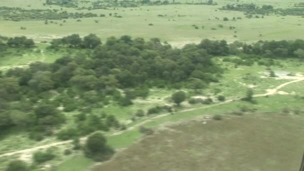 Flugzeug in Kenia Botswana Savanne Afrika — Stockvideo