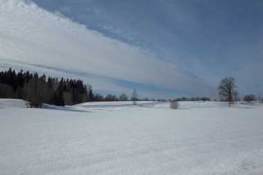 Soğuk gün Rus kış kutup hayat