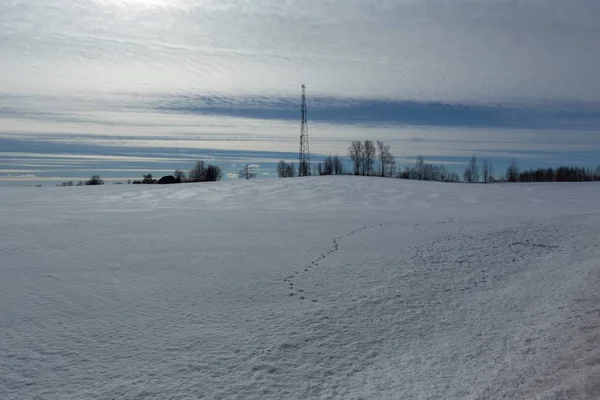 Холодний день російської зими полярних життя — стокове фото