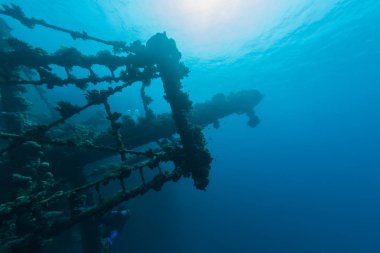 alt batık gemi Batığı sualtı dalış Sudan Kızıldeniz