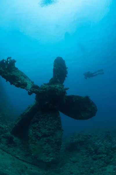 Relitto della nave affondata in fondo immersioni subacquee Sudan Mar Rosso — Foto Stock