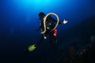 Dalgıç deniz yılanı nderwater dalış resim okyanus ile