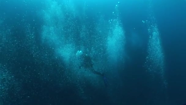 Vida coralina vídeo submarino — Vídeos de Stock