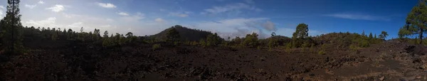 山景观全景特内里岛西班牙泰德火山 — 图库照片