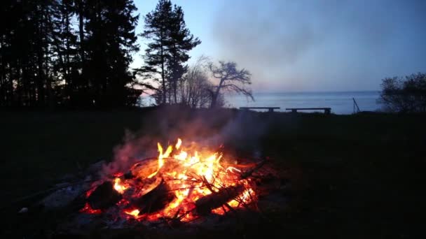 Языческий праздник у костра Latvia Midsummer night Ligo — стоковое видео