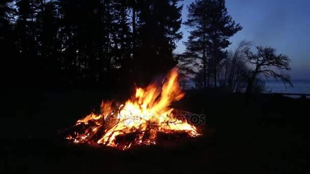 Campfire pagan holiday latvia Midsummer night Ligo — Stock Video