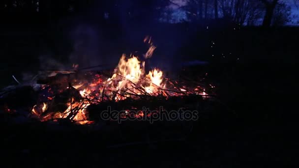 Campfire ειδωλολατρική διακοπές Λετονία καλοκαιρινής νύχτας λιγο — Αρχείο Βίντεο