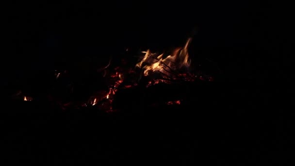 Campfire pagan holiday latvia Midsummer night Ligo — Stock Video