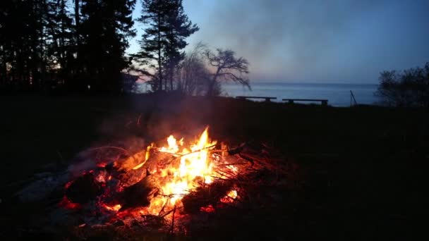 Campfire pagan holiday latvia Midsummer night Ligo — Stock Video